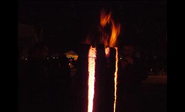 7.swedish fire
